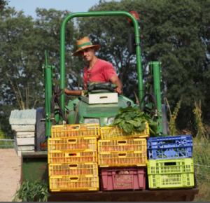 Agro-ecology Workshop with Jordi Puig (English) [AgriKultur] @ Bibliothek im SUSI-Café
