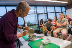 Agrikultur2019Fr©Doradzillo_8504s