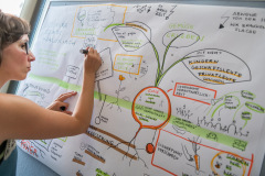 Agrikultur2019Fr©Doradzillo_8582s