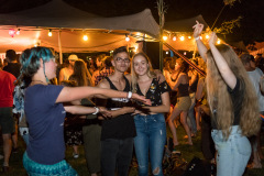 Agrikultur2019Fr©Doradzillo_8995s