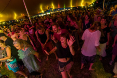 Agrikultur2019Sa©Doradzillo_0204web