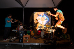 Agrikultur2019Sa©Doradzillo_0346web