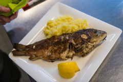 Agrikultur2019Sa©Doradzillo_9249web