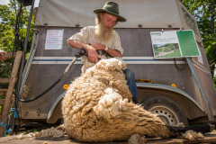 Agrikultur2019Sa©Doradzillo_9539web