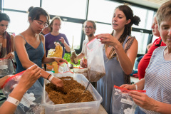 Agrikultur2019Sa©Doradzillo_9663web