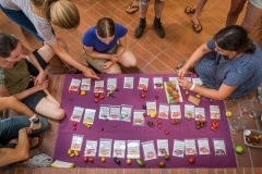 Agrikultur2019Sa©Doradzillo_9668web