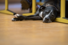 Agrikultur2019Sa©Doradzillo_9823web