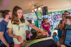 Agrikultur2019So©Doradzillo_0688web