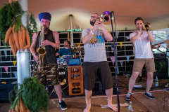 Agrikultur2019So©Doradzillo_0799web