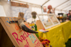 Agrikultur2019So©Doradzillo_0961web