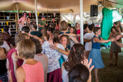 Agrikultur2019So©Doradzillo_0971web