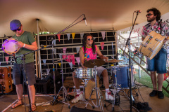 Agrikultur2019So©Doradzillo_1094web