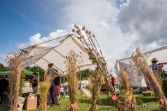 Agrikultur2016_4578_web