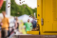 Agrikultur2016_4588_web