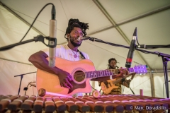 Agrikultur2016_5168_web