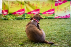 Agrikultur2016_5826_web