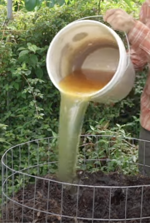 Wie Urin deinen Garten zum blühen und duften bringt (ohne zu stinken)