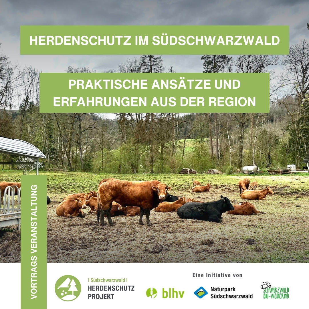 Herdenschutz im Südschwarzwald – Praktische Ansätze und Erfahrungen aus der Region am 5 Juli 13h Flower Lounge